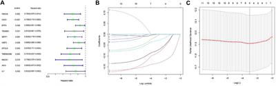 Clinical value of M1 macrophage-related genes identification in bladder urothelial carcinoma and in vitro validation